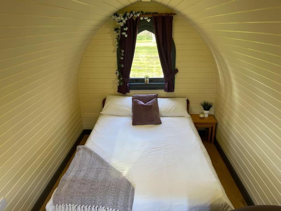 Belle Vista Glamping & Camping Йорк Екстериор снимка