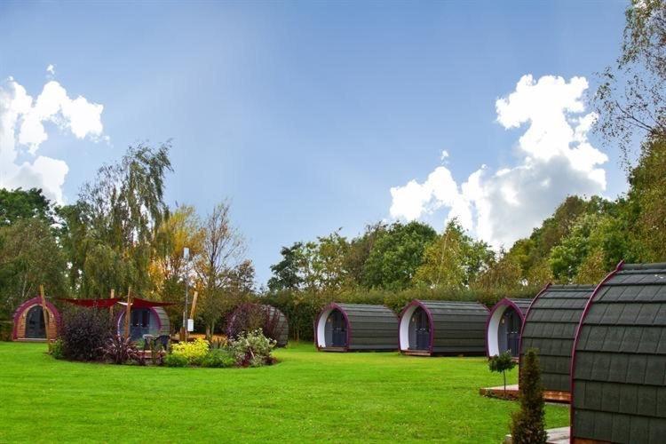 Belle Vista Glamping & Camping Йорк Екстериор снимка